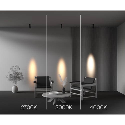 Потолочный светильник Technical C055CL-L12W3K-SS-B