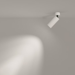 Потолочный светильник Technical C055CL-L12W3K-W-W