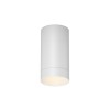 Потолочный светильник Maytoni Outdoor Luxe O500CL-L5W3K