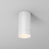 Потолочный светильник  Maytoni Outdoor Luxe O500CL-L5W3K