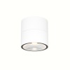 Потолочный светильник  Maytoni Outdoor Spin O310CL-L12W3K