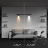 Светильник Technical C103CL-5W3-6K-B