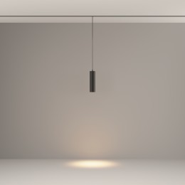 Трековый подвесной светильник Technical TR041-2-12W3K-B