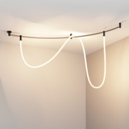 Трековый светильник Technical TR209-1-48W3K-B