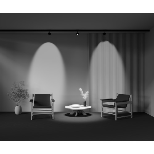 Трековый светильник Technical TR217-4-15WTW-DS-B
