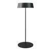 Уличный переносной аккумуляторный светильник  Maytoni Outdoor Porto O540TL-L2BCCT