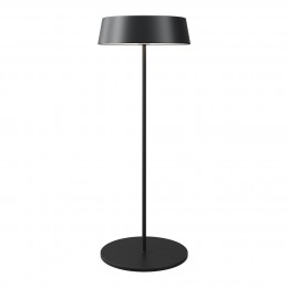 Уличный переносной аккумуляторный светильник  Maytoni Outdoor Porto O540TL-L2BCCT