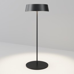 Уличный переносной аккумуляторный светильник  Maytoni Outdoor Porto O540TL-L2BCCT