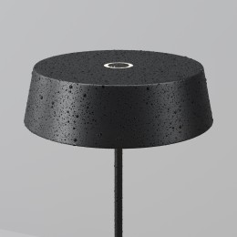 Уличный переносной аккумуляторный светильник  Maytoni Outdoor Porto O540TL-L2BCCT