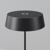 Уличный переносной аккумуляторный светильник  Maytoni Outdoor Porto O540TL-L2BCCT