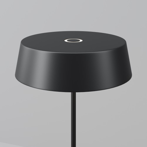 Уличный переносной аккумуляторный светильник  Maytoni Outdoor Porto O540TL-L2BCCT