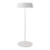 Уличный переносной аккумуляторный светильник  Maytoni Outdoor Porto O540TL-L2WCCT
