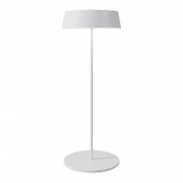 Уличный переносной аккумуляторный светильник  Maytoni Outdoor Porto O540TL-L2WCCT