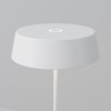 Уличный переносной аккумуляторный светильник  Maytoni Outdoor Porto O540TL-L2WCCT