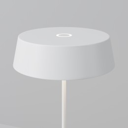 Уличный переносной аккумуляторный светильник  Maytoni Outdoor Porto O540TL-L2WCCT