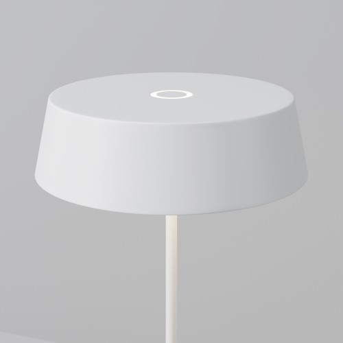 Уличный переносной аккумуляторный светильник  Maytoni Outdoor Porto O540TL-L2WCCT