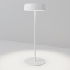 Уличный переносной аккумуляторный светильник  Maytoni Outdoor Porto O540TL-L2WCCT