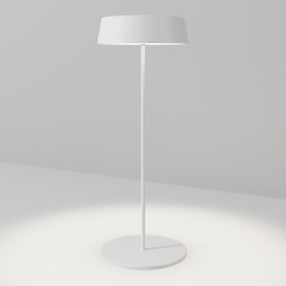 Уличный переносной аккумуляторный светильник  Maytoni Outdoor Porto O540TL-L2WCCT