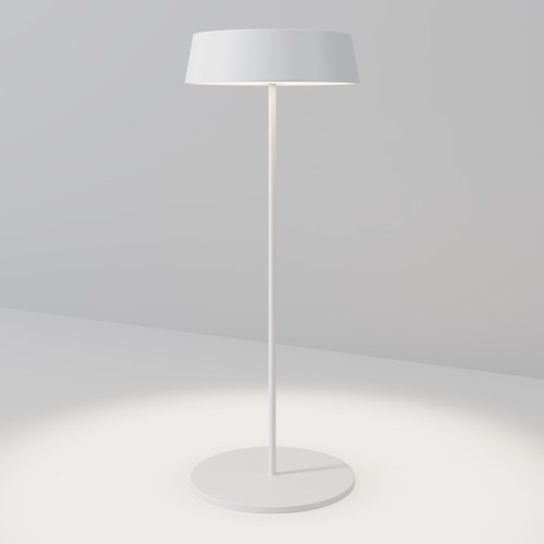 Уличный переносной аккумуляторный светильник  Maytoni Outdoor Porto O540TL-L2WCCT