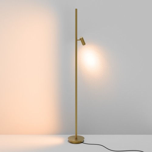 Напольный светильник (торшер) Maytoni Thin MOD395FL-L28BS3K