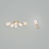 Настенный светильник (бра) Freya FR5095WL-01G