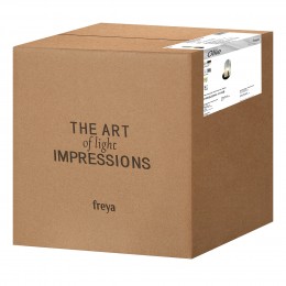 Настенный светильник (бра) Freya FR5525WL-01GB