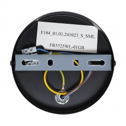 Настенный светильник (бра) Freya FR5525WL-01GB