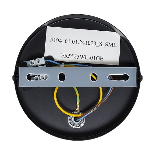 Настенный светильник (бра) Freya FR5525WL-01GB