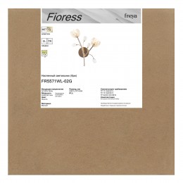 Настенный светильник (бра) Freya FR5571WL-02G