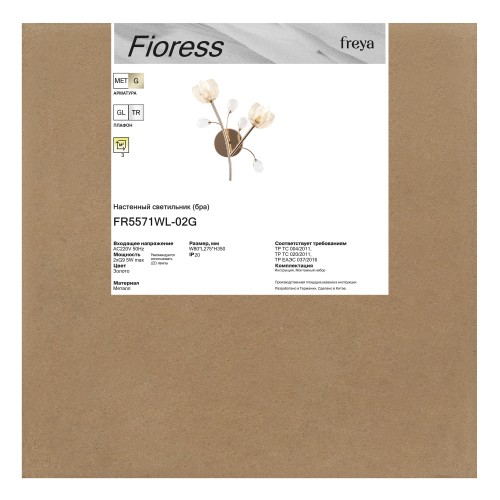 Настенный светильник (бра) Freya FR5571WL-02G