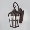 Настенный светильник (бра)  Maytoni Outdoor Albion O413WL-01BZ