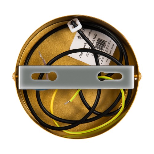 Подвесной светильник Freya FR6081PL-L10G