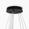 Подвесной светильник Maytoni Rim MOD058PL-L100BK