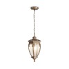 Подвесной светильник Maytoni Outdoor Fleur O414PL-01GB