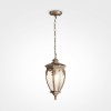 Подвесной светильник  Maytoni Outdoor  Fleur O414PL-01GB