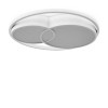 Потолочный светильник Freya FR10029CL-L70W