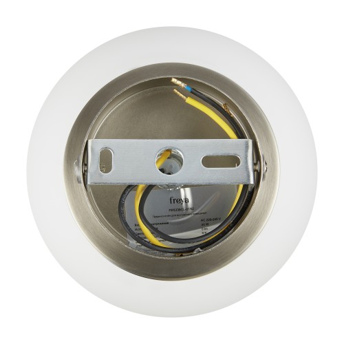 Потолочный светильник Freya FR5339CL-01N2