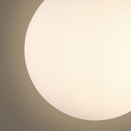 Потолочный светильник Freya FR5339CL-01N2