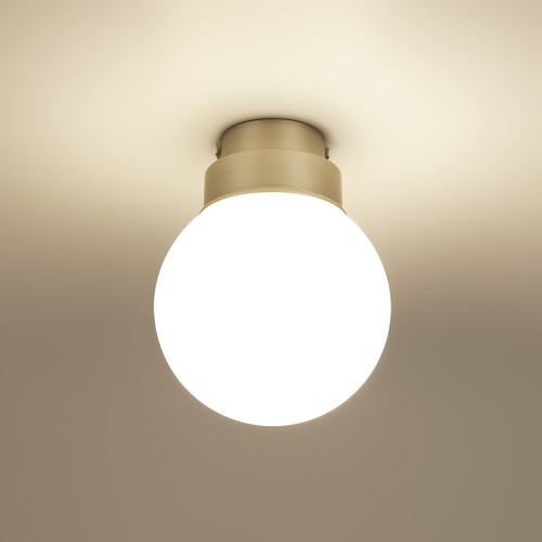 Потолочный светильник Freya FR5339CL-01N2