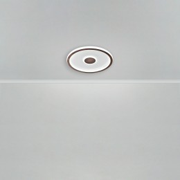 Потолочный светильник Freya FR5421CL-L80BR