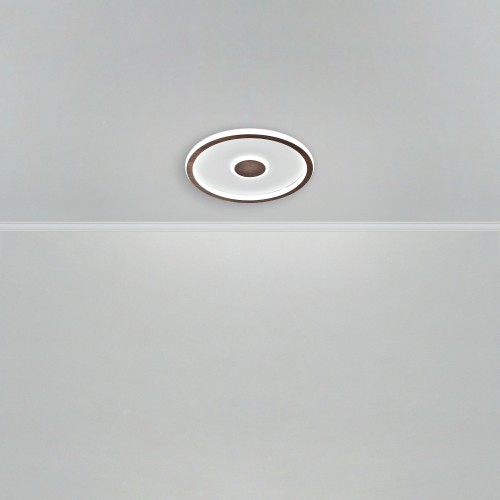 Потолочный светильник Freya FR5421CL-L80BR