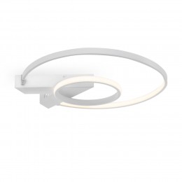 Потолочный светильник Freya FR6020CL-L31W