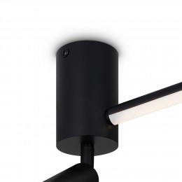 Потолочный светильник Freya FR6114CL-L26B