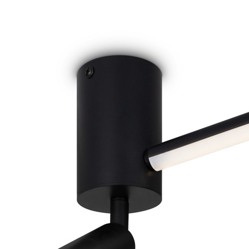 Потолочный светильник Freya FR6114CL-L26B