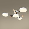 Потолочный светильник Freya FR6119CL-L48W