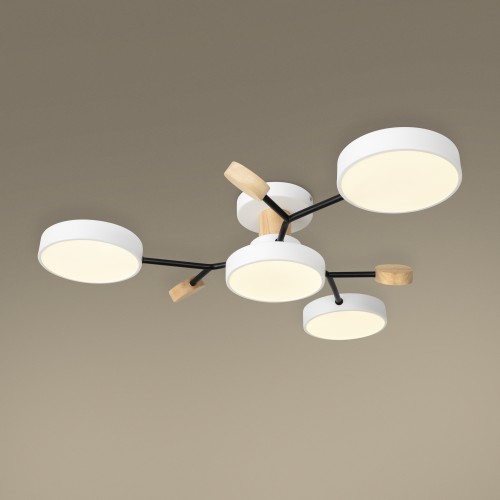 Потолочный светильник Freya FR6119CL-L48W