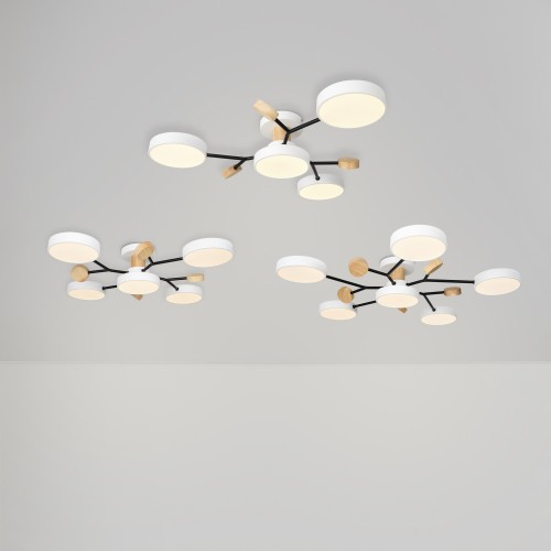 Потолочный светильник Freya FR6119CL-L60W