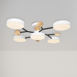 Потолочный светильник Freya FR6119CL-L60W