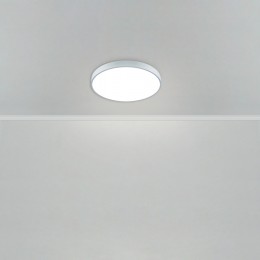 Потолочный светильник Freya FR6129CL-L80GR
