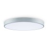 Потолочный светильник Freya FR6129CL-L80GR